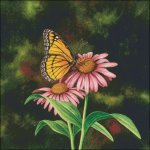 (image for) Coneflower Of Choice
